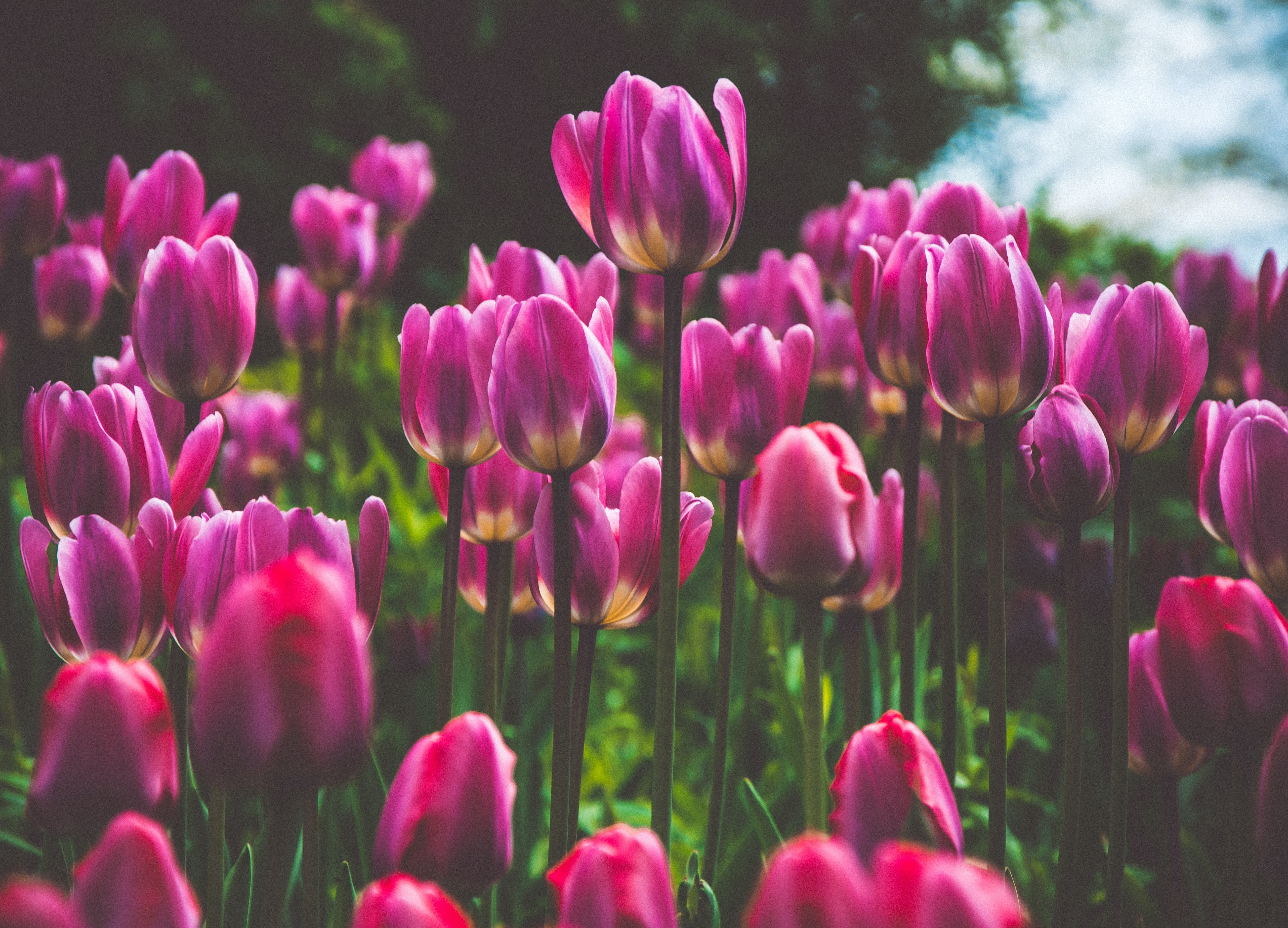 赤ちゃん用品を探す